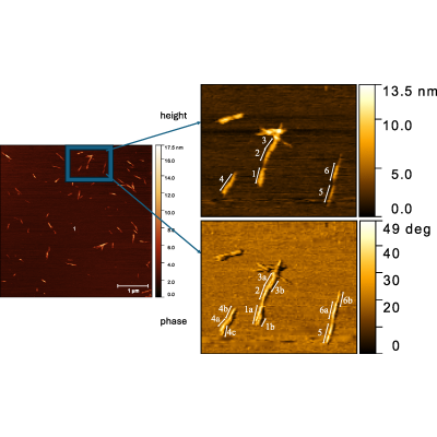 Figure 10