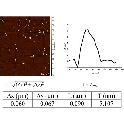 Figure 11