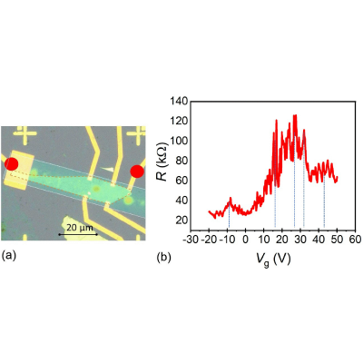 Figure 6