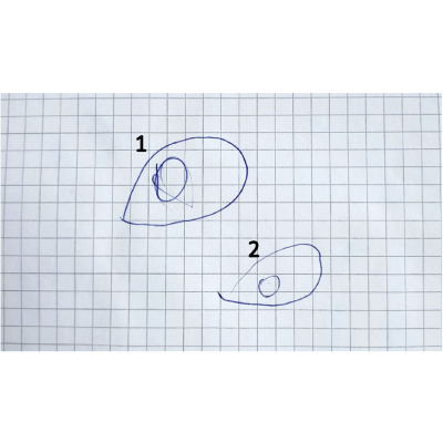Figure 8