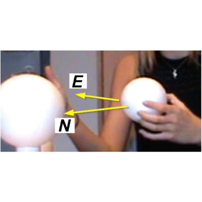 Figure 8