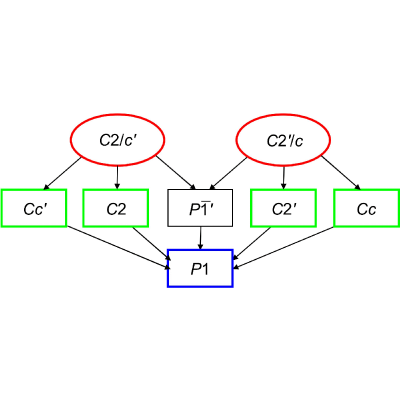 Figure 8