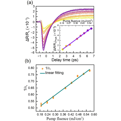 Figure 7