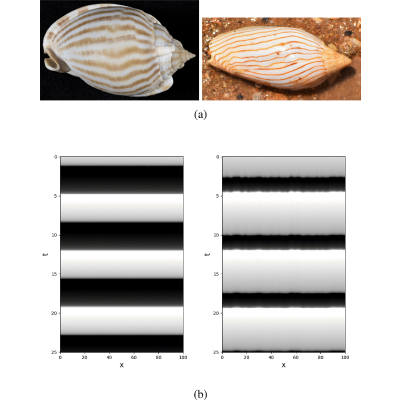 Figure 8