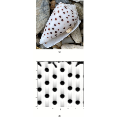 Figure 22