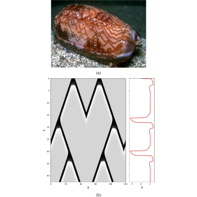 Figure 12
