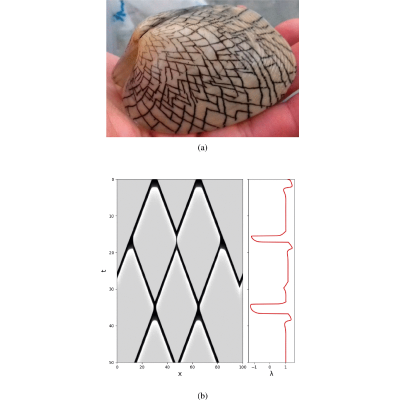 Figure 13