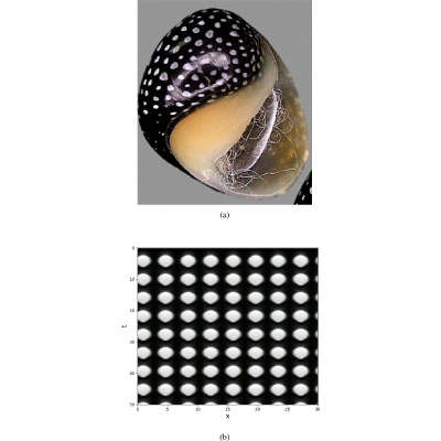 Figure 20