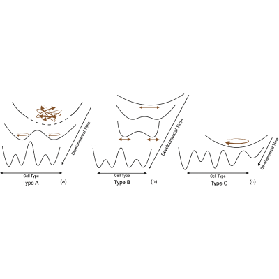 Figure 19