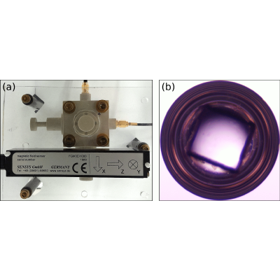 Figure 6