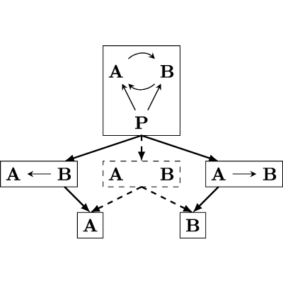 Flow of dynamical causal structures with an application to correlations ...