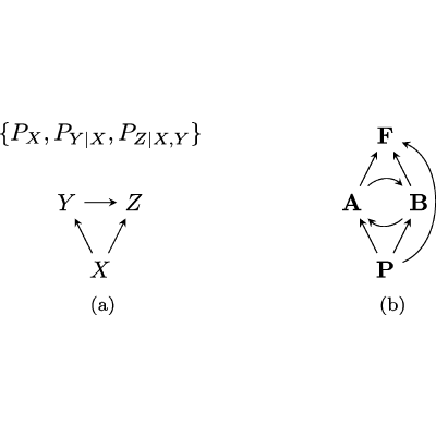 Flow of dynamical causal structures with an application to correlations ...