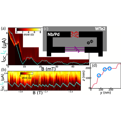 Figure 25