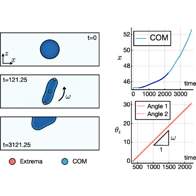 Figure 24