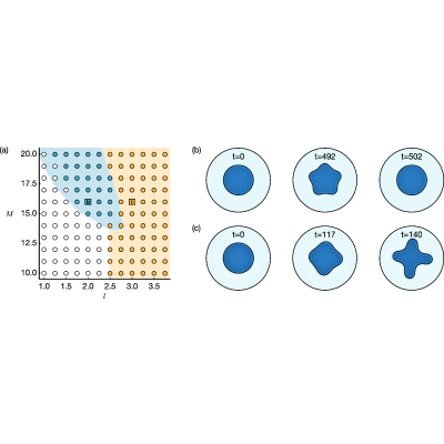Figure 19