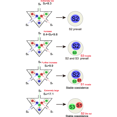Figure 19