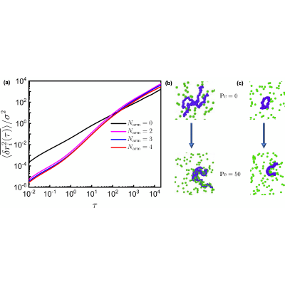 Figure 16