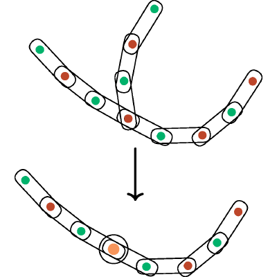 Figure 33