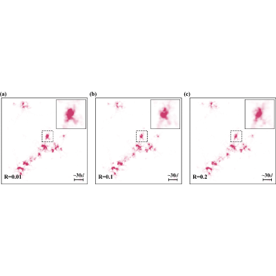 Figure 13