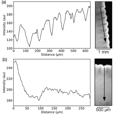Figure 20