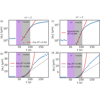 Figure 22