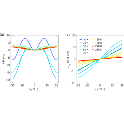 Figure 20