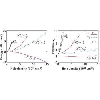 Figure 19