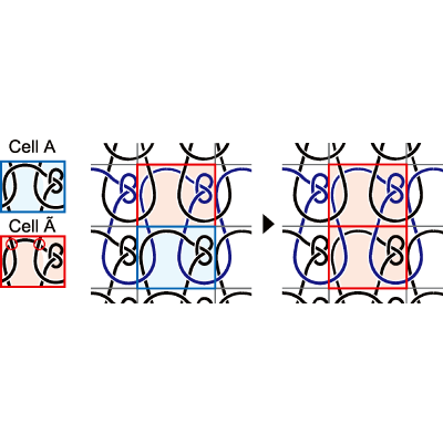 Figure 15
