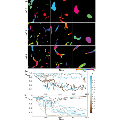 Figure 20