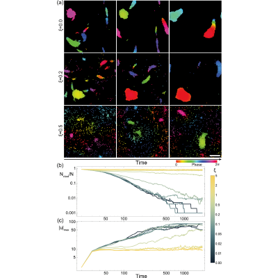 Figure 19