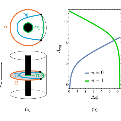 Figure 13