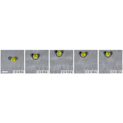 Figure 12