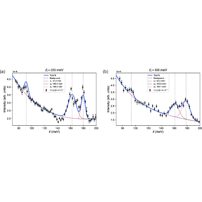 Figure 21