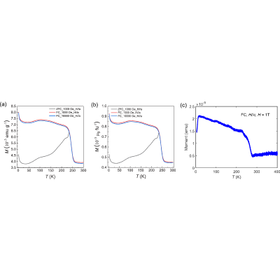 Figure 19