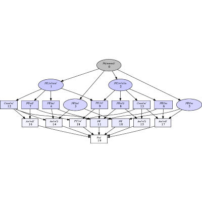 Figure 20