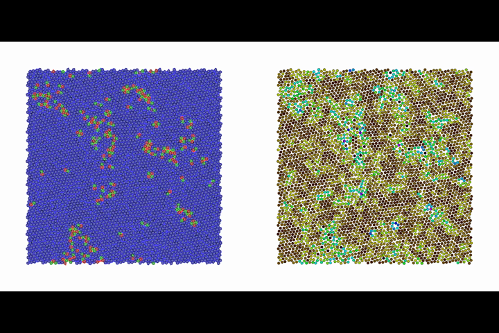 Supplemental Material For: Phys. Rev. X 7, 021001 (2017) - Shape and ...