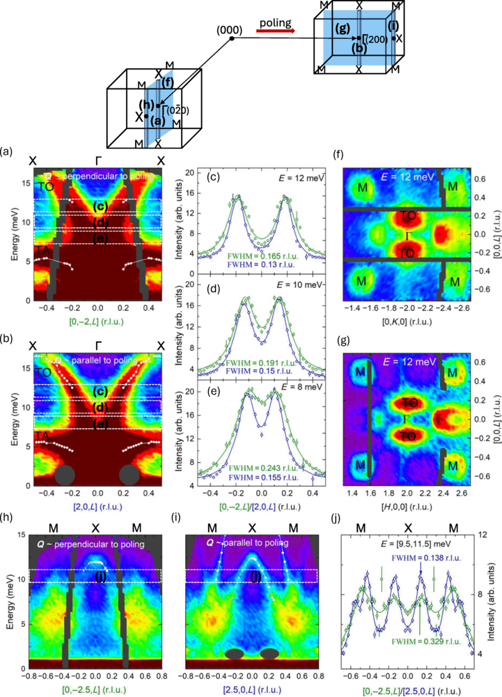 Electric Field Control of Phonon Lifetimes and Thermal