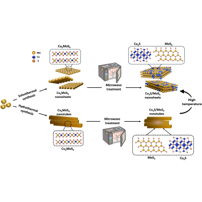 Figure 10
