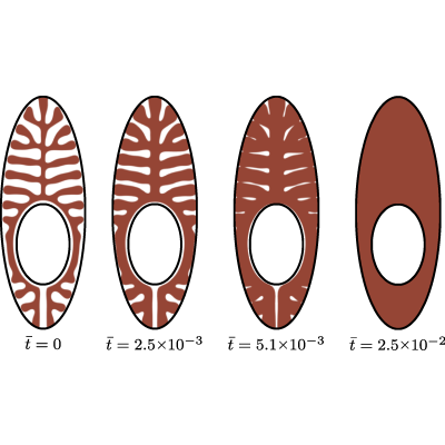 Figure 15