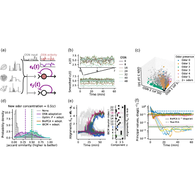 Figure 21