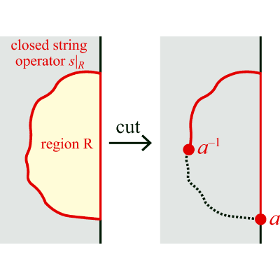 Figure 8