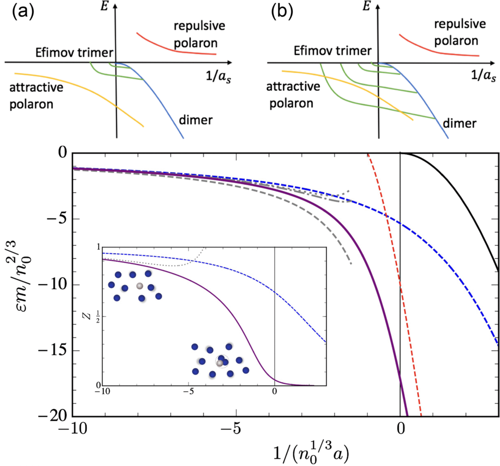 Polarons in atomic gases and two-dimensional semiconductors | Rev