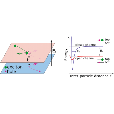 Polarons in atomic gases and two-dimensional semiconductors | Rev