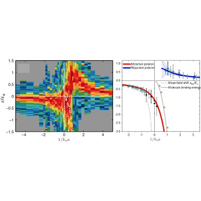 Polarons in atomic gases and two-dimensional semiconductors | Rev