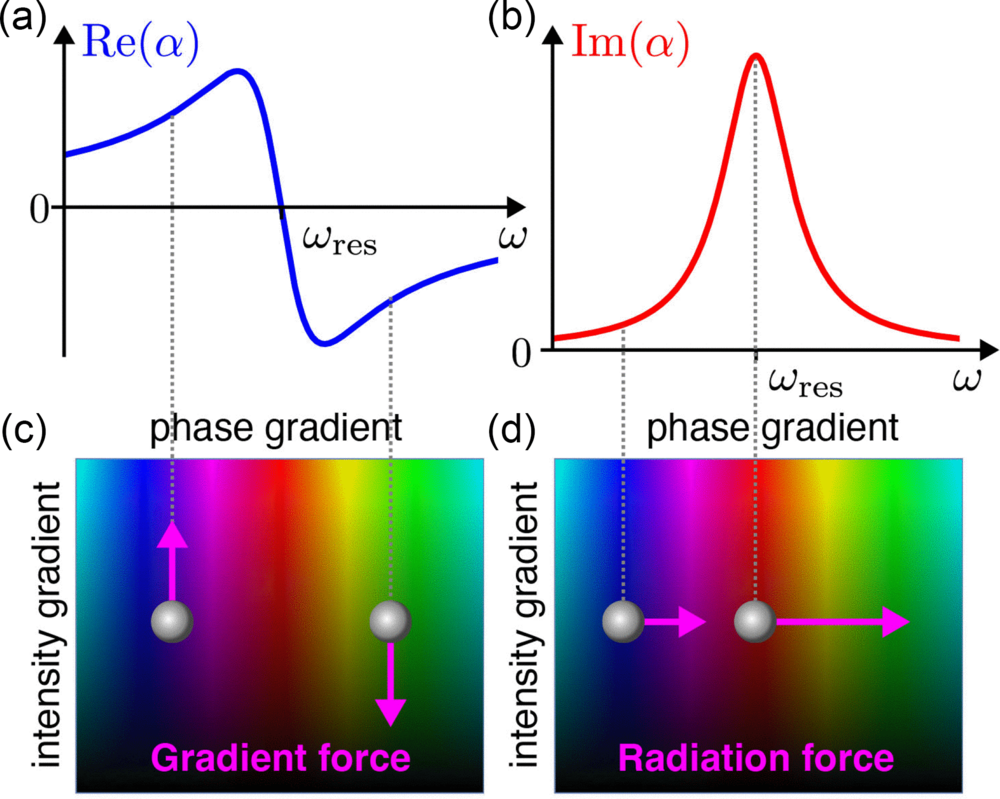 Radiation forces and torques in optics and acoustics | Rev. Mod. Phys.