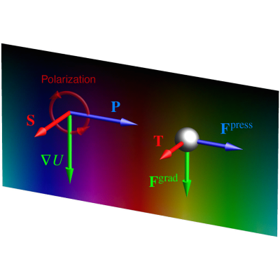 Radiation forces and torques in optics and acoustics | Rev. Mod. Phys.