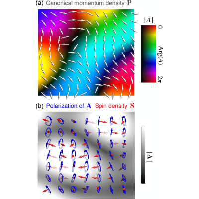 Radiation forces and torques in optics and acoustics | Rev. Mod. Phys.