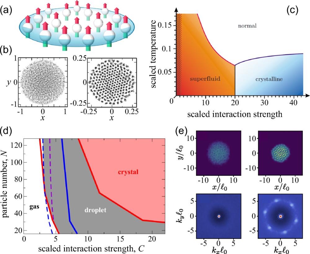 レイヤ様 Colloquium: Strongly dipolar molecular Bose-Einstein condensates