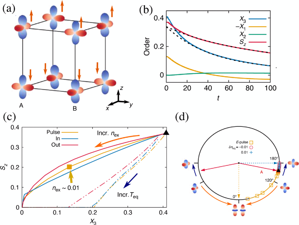 ナス Photoinduced nonequilibrium states in Mott insulators | Rev. Mod
