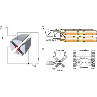 Ion Coulomb crystals: An exotic form of condensed matter | Rev